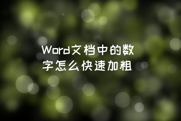 Word文档中的数字怎么快速加粗